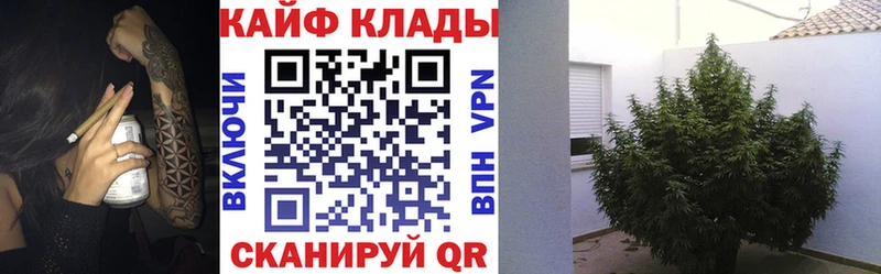 Где купить наркотики Полесск APVP MDMA Меф мяу мяу ГАШИШ КОКАИН