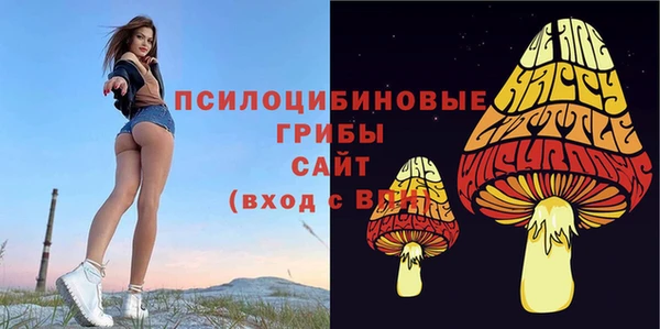 метамфетамин Белокуриха